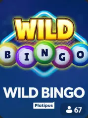 Wild Bingo bingo game cover