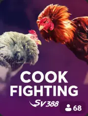Cock Fighting live casino cover